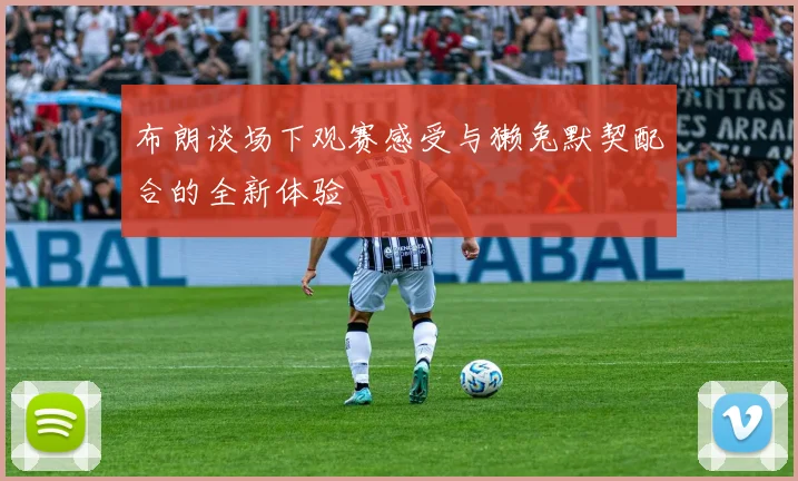 布朗谈场下观赛感受与獭兔默契配合的全新体验